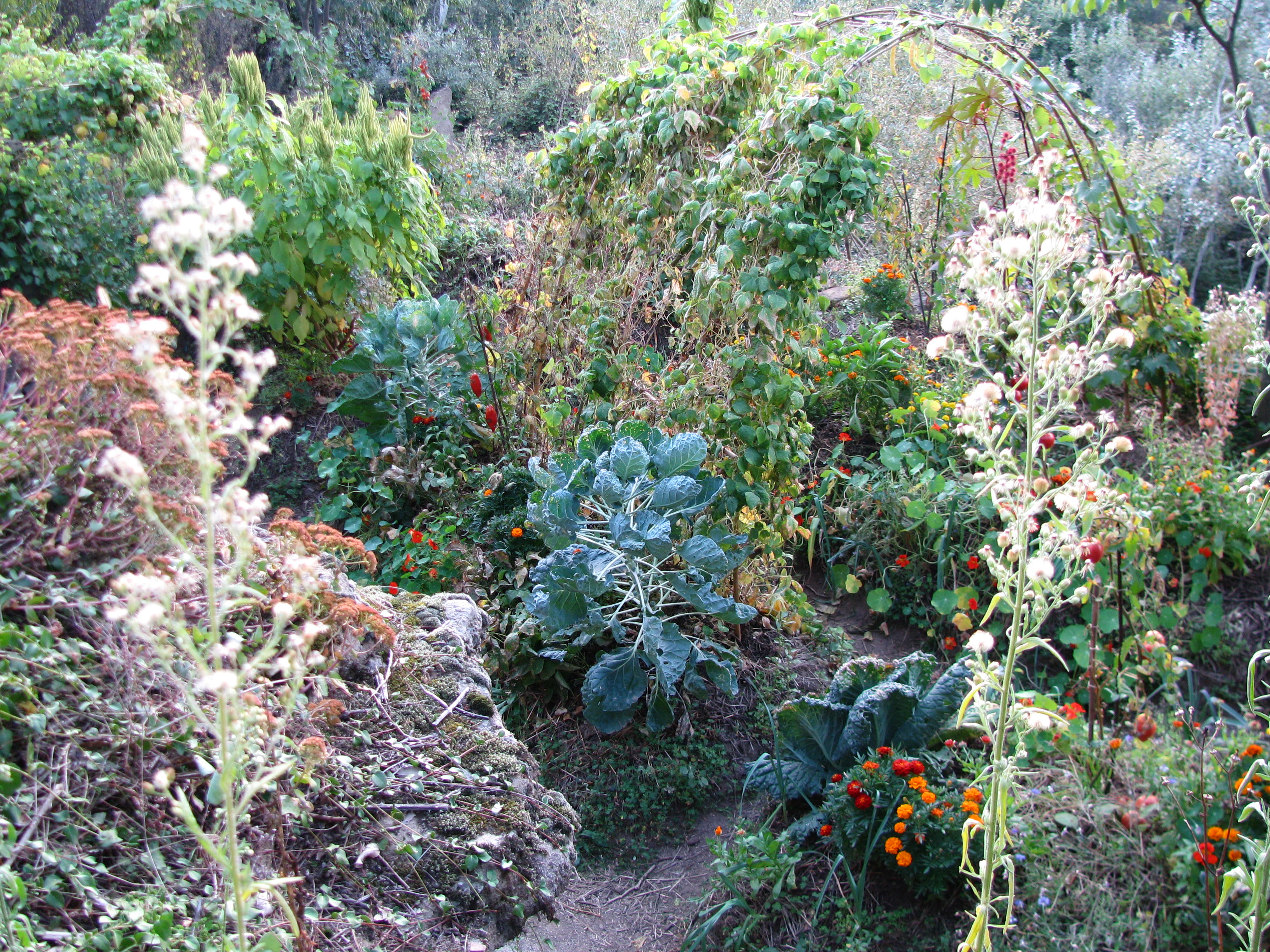 Photo de jardin 6